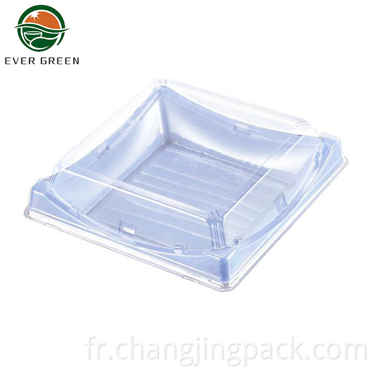 Rectangle plastic sushi plate